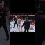 'I missed it, I was talking about a bakery' 🤣 #ufcshorts