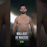 Bivol’s Reach is UNSTOPPABLE! 🥊🔥 #shorts #mmahighlights