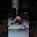 well... Brito got up and did something 🤣 #ufcvegas112