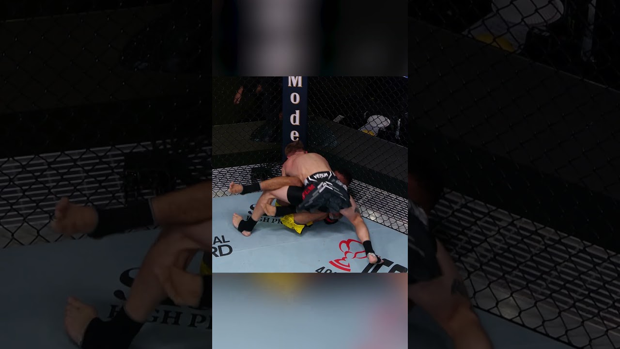 well... Brito got up and did something 🤣 #ufcvegas112