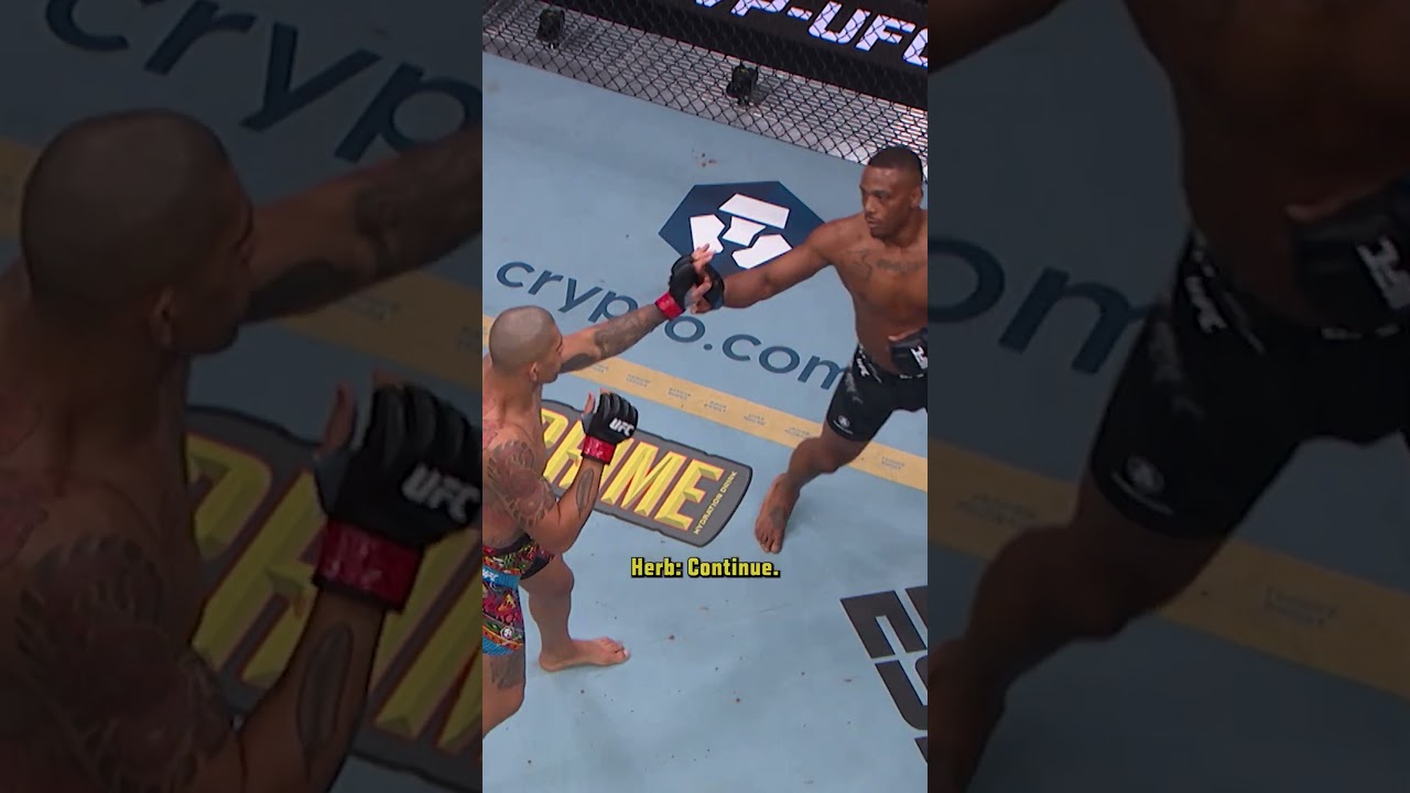 what did Alex Pereira hit him with?? 😳 #ufcshorts