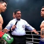 Dmitry Bivol (Russia) vs Robert Berridge (New Zealand) | KNOCKOUT, BOXING Fight, HD