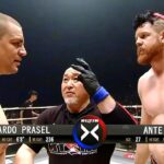 Ante Delija (Croatia) vs Ricardo Prasel (Brazil) | MMA fight, HD