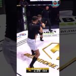 LIGHTS OUT! 💡 Brutal Head Kick KO out of nowhere 😱