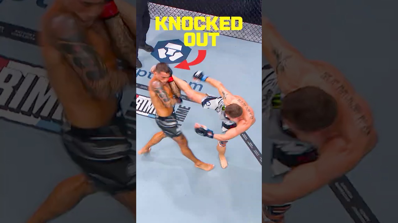 insane head kick #ufc324