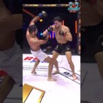 Insane MMA Knockout! The Punch That Ended It All