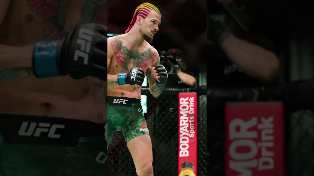 Sean O'Malley SLEPT him BAD 😲 #ufc324