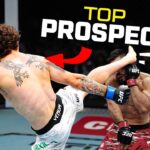 UFC Prospects Who Could Dominate 2026 🔥