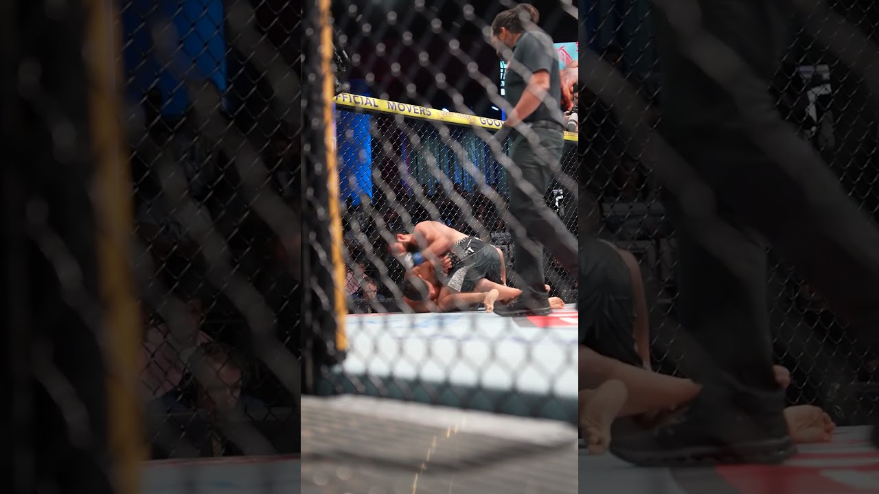 Farid Basharat Remains Undefeated! #ufcvegas113