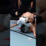 Javid Basharat With A Beautiful Knock Down!! #ufcvegas113