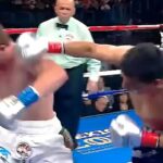 Canelo Alvarez (Mexico) vs Carlos Baldomir (Argentina) | KNOCKOUT, BOXING fight, HD