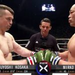 Mirko CRO COP Filipovic (Croatia) vs Tsuyoshi Kosaka (Japan) | KNOCKOUT, MMA Fight HD