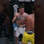 one of the GREATEST KNOCKOUTS of all time #ufcvegas113