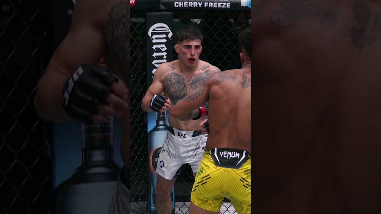 one of the GREATEST KNOCKOUTS of all time #ufcvegas113