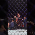 SALKILLD DOES IT AGAIN! #ufc325